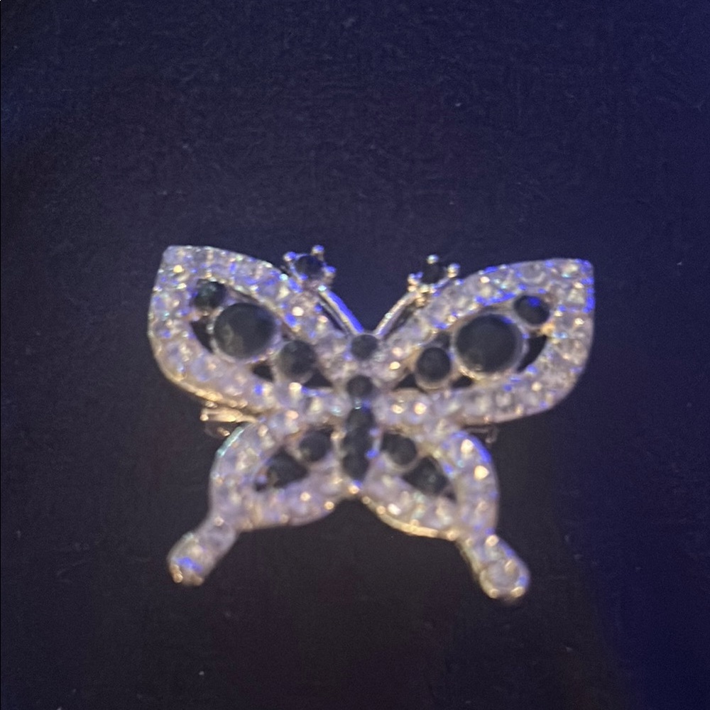 Elegant Silver and Black Butterfly Brooch